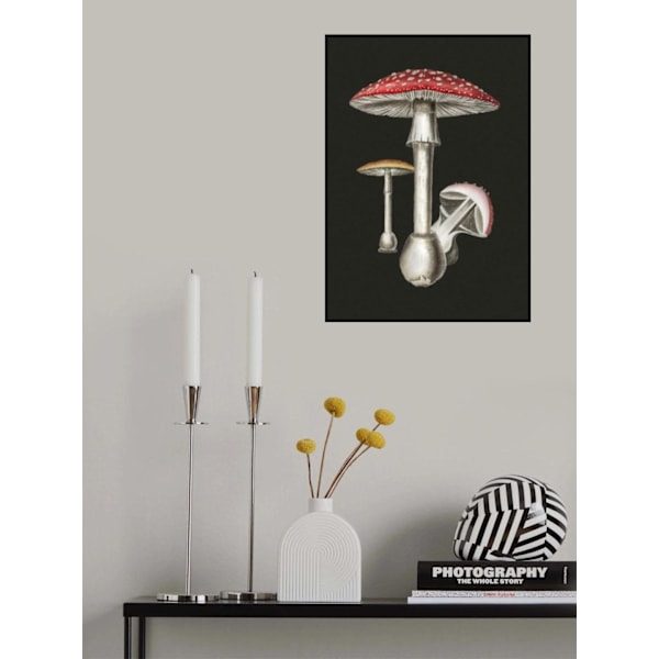 Amanita Muscaria Tumma Tausta MultiColor 70x100 cm