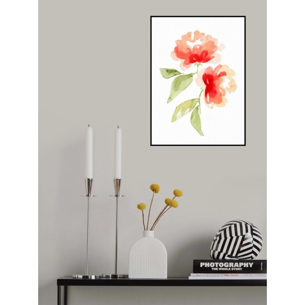 Kailey Coral MultiColor 50x70 cm