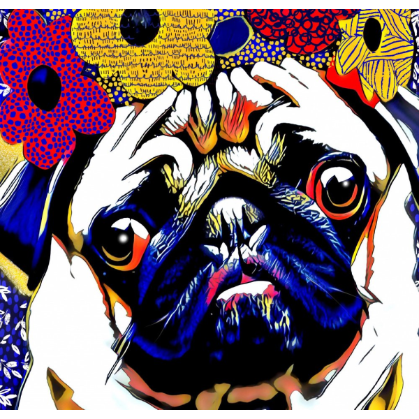 Puggles MultiColor 70x100 cm