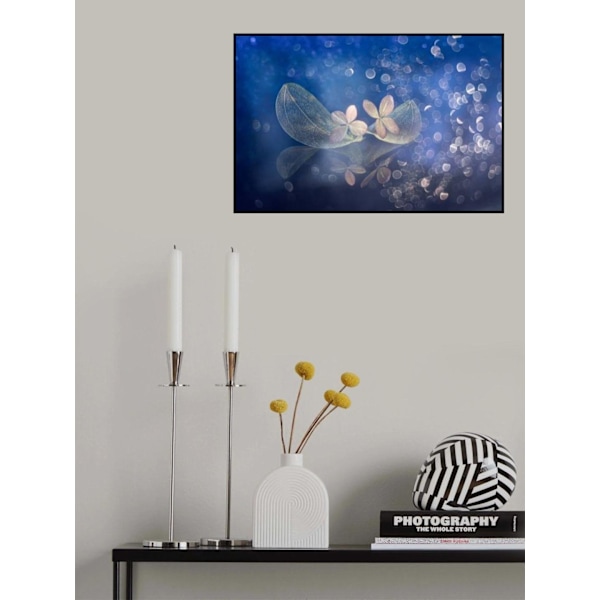 Fairytale Fantasy MultiColor 30x40 cm
