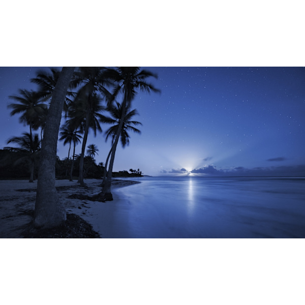 Tropical Moonrise MultiColor 30x40 cm