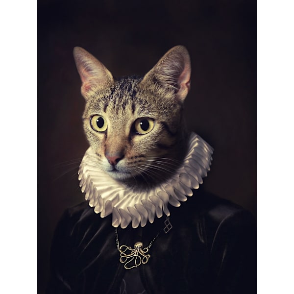 Sir Kiko MultiColor 30x40 cm