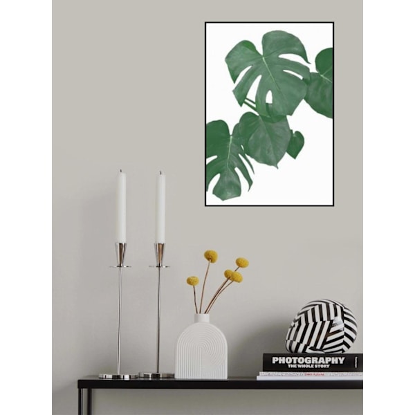 Monstera Aqua 01 MultiColor 21x30 cm
