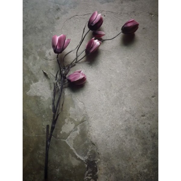 The Elegant Tulip MultiColor 21x30 cm