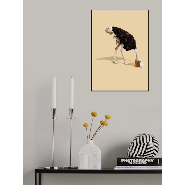 Dive In Coffee MultiColor 70x100 cm
