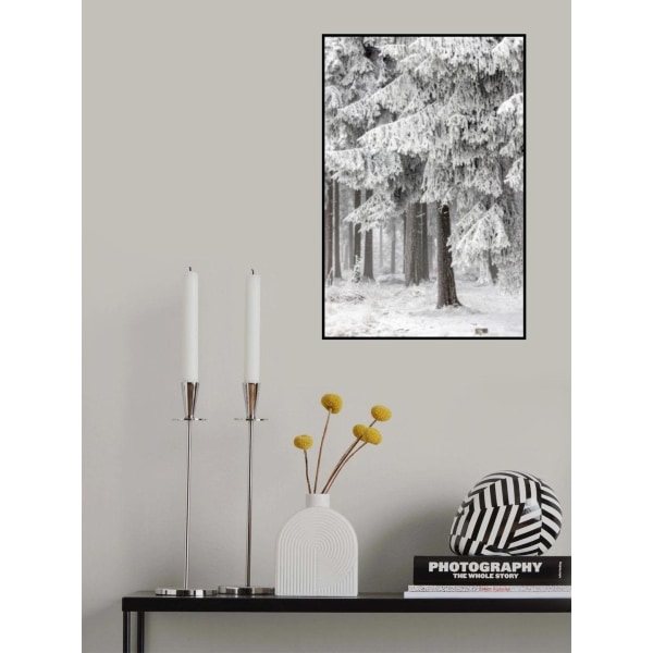 Winter Forest 2 MultiColor 50x70 cm