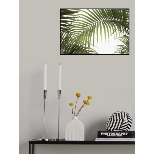 Palm Leaves Foliage Photo 01 MultiColor 70x100 cm