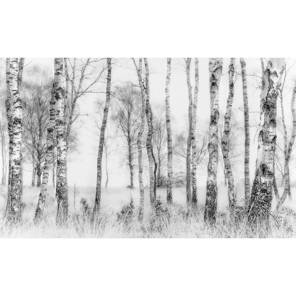 Black And White MultiColor 30x40 cm