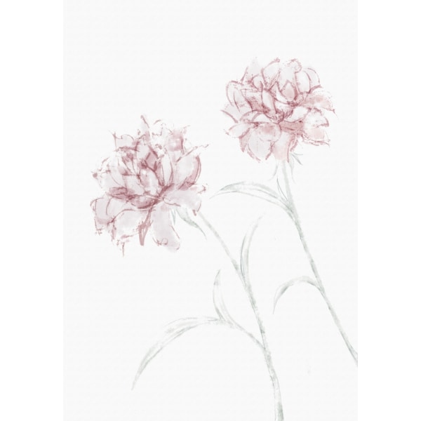 Peony 03 MultiColor 21x30 cm
