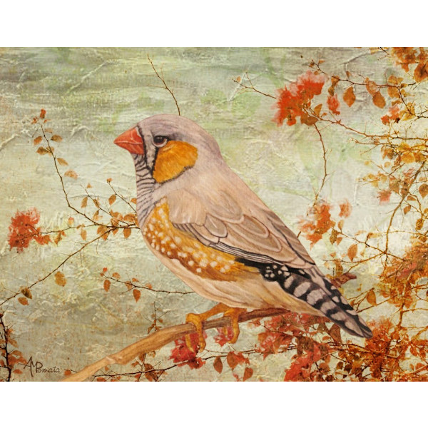 Zebra Finch Among Almond Trees MultiColor 50x70 cm