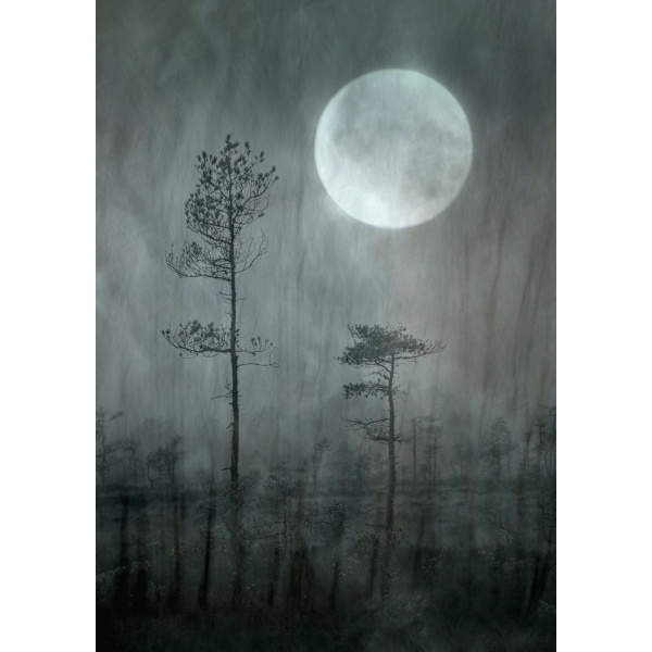 Under The Moon MultiColor 70x100 cm