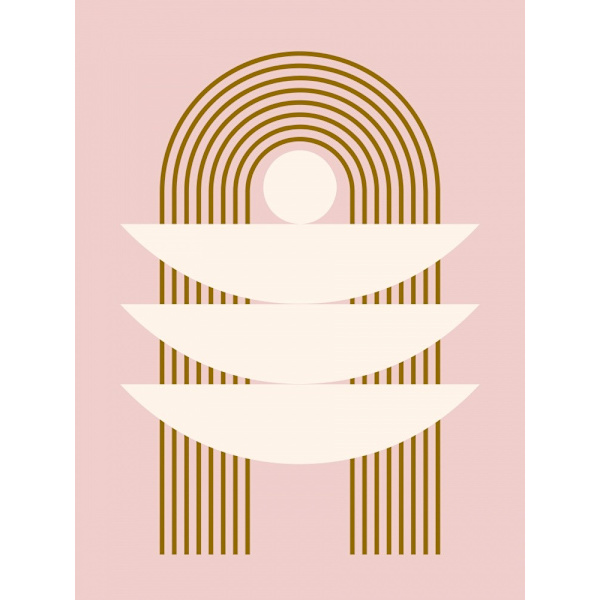 Mid Century In Pink MultiColor 50x70 cm