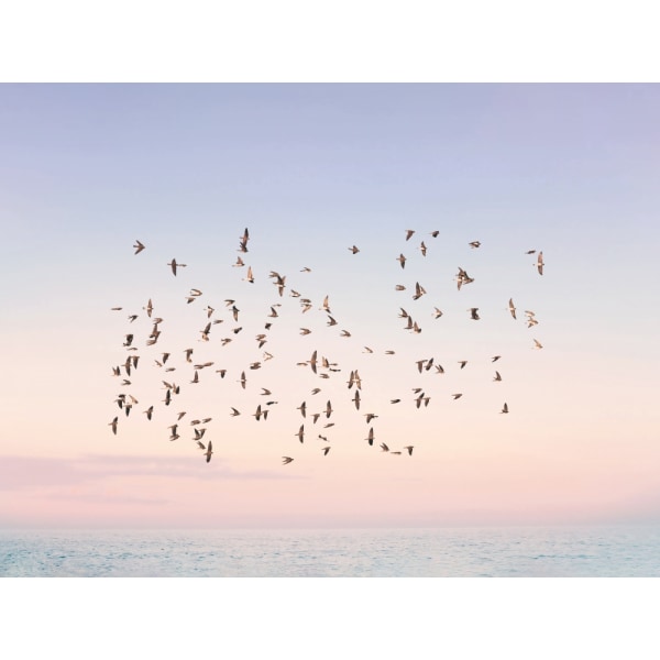 Sunset Flight MultiColor 21x30 cm