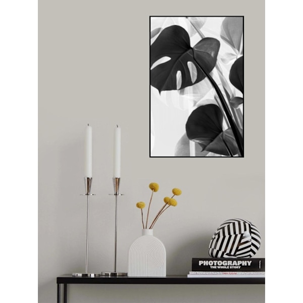 Monstera Baw MultiColor 70x100 cm
