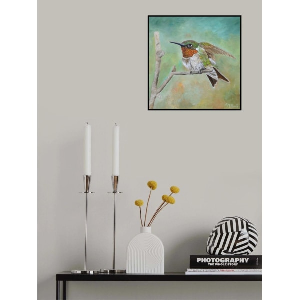 Perched In Place MultiColor 50x70 cm