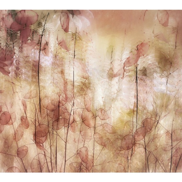 Frøkapsler MultiColor 21x30 cm