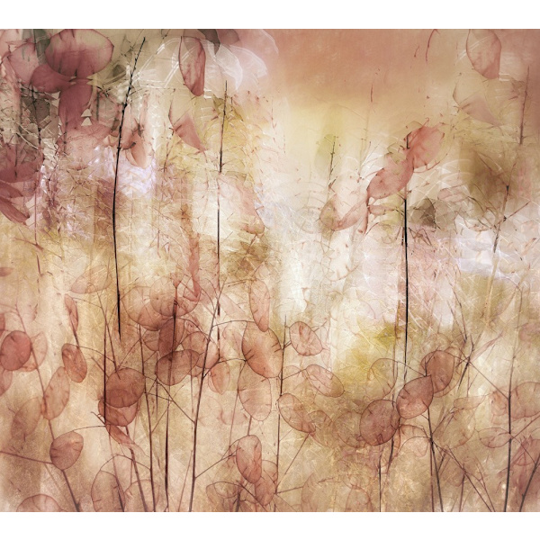 Seed Pods MultiColor 21x30 cm