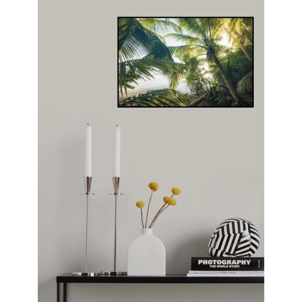 Hide Under Palms MultiColor 21x30 cm