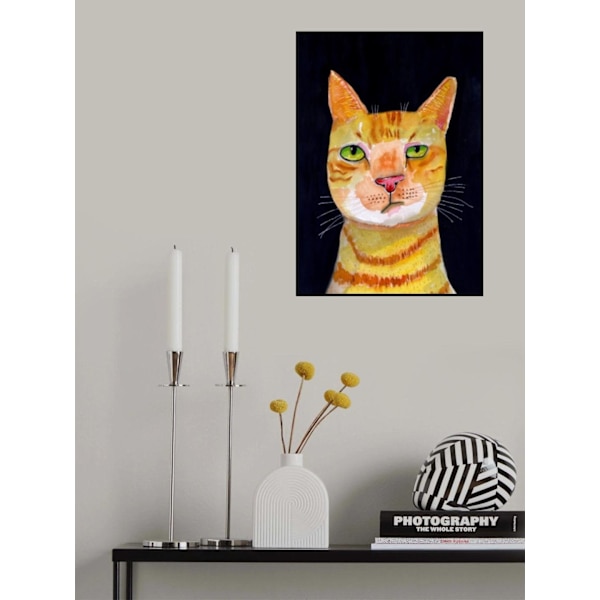 Ginger Cat MultiColor 30x40 cm