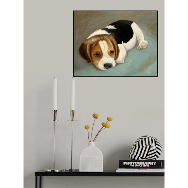 Cute Beagle MultiColor 50x70 cm