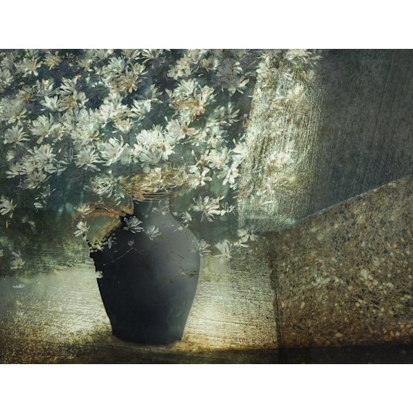 Floral Still Life MultiColor 70x100 cm
