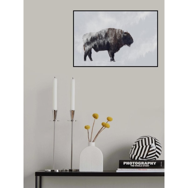 Bison - Kaksoisvalotus MultiColor 50x70 cm