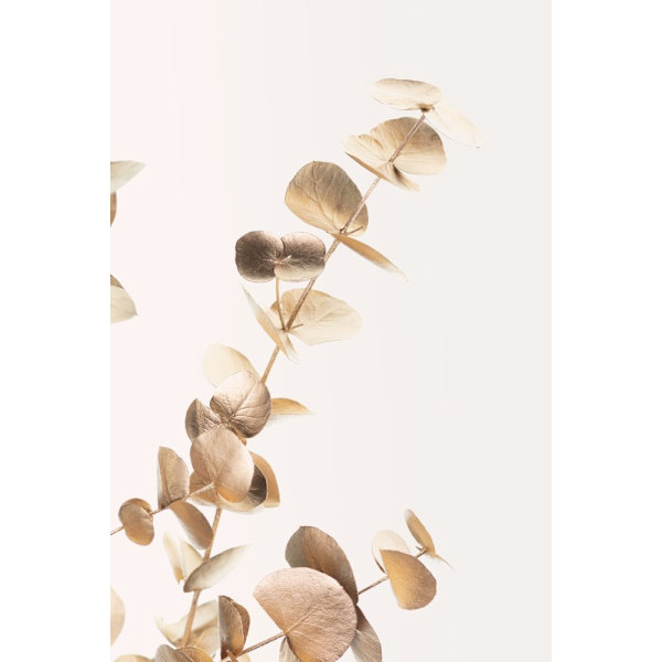 Eucalyptus Gold No 03 MultiColor 70x100 cm