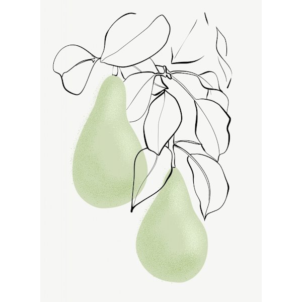 Wen Pears MultiColor 70x100 cm