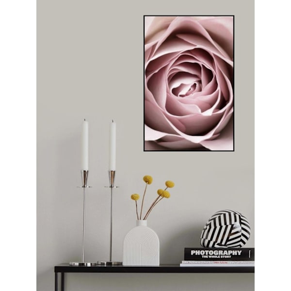 Pink Rose No 04 MultiColor 21x30 cm