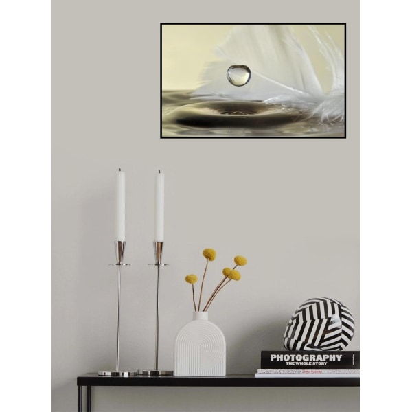 Feathers Drop MultiColor 70x100 cm