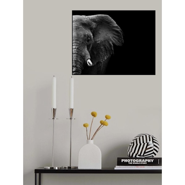 Elephant MultiColor 21x30 cm