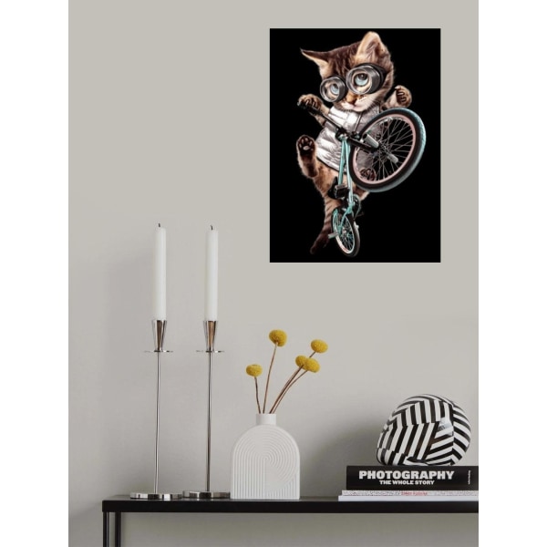 Bmx Cat MultiColor 30x40 cm