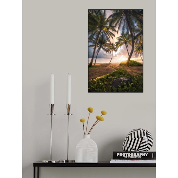 Vertical Paradise MultiColor 70x100 cm