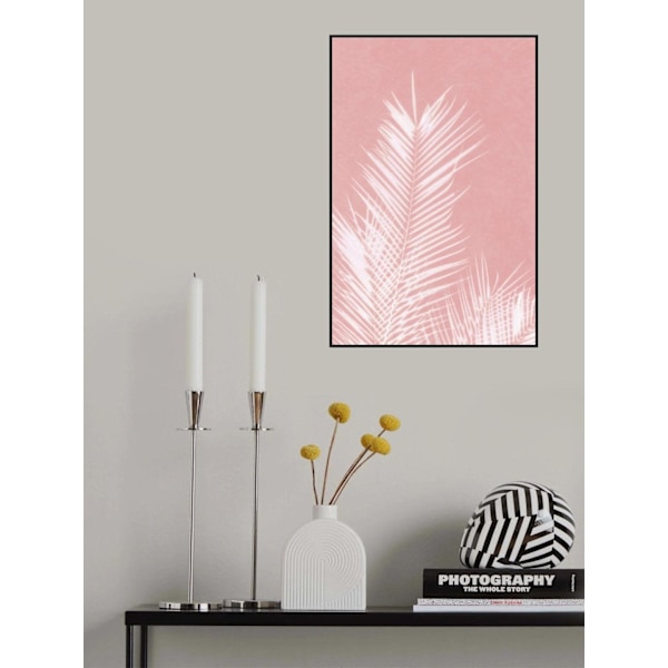 Palm Leaves On Pink Silhouette Ii MultiColor 50x70 cm