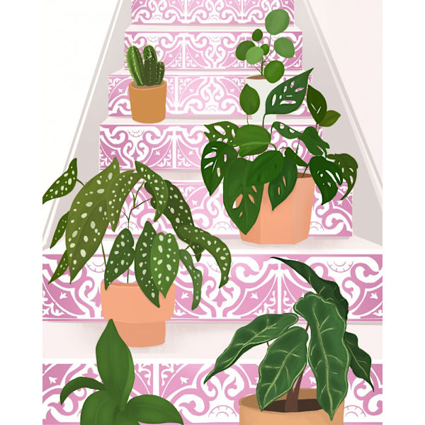 Plants MultiColor 21x30 cm