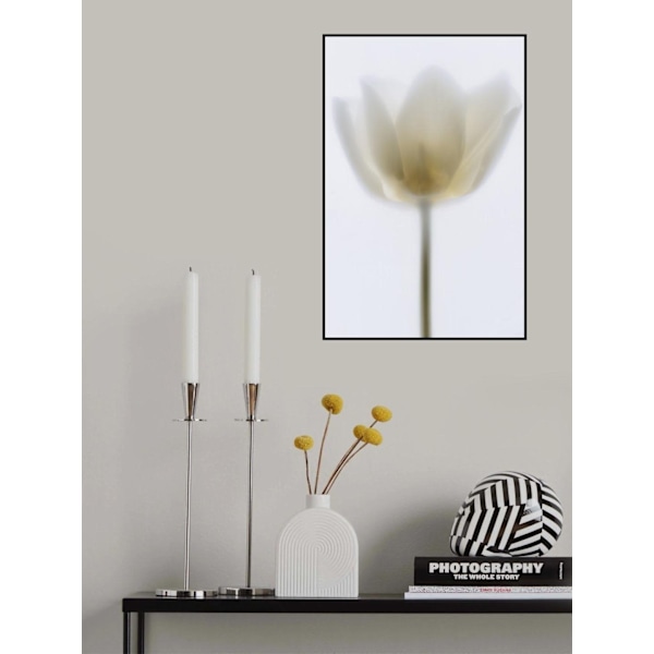 Delicate Tulip MultiColor 50x70 cm