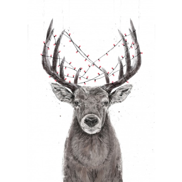 Xmas Deer MultiColor 70x100 cm