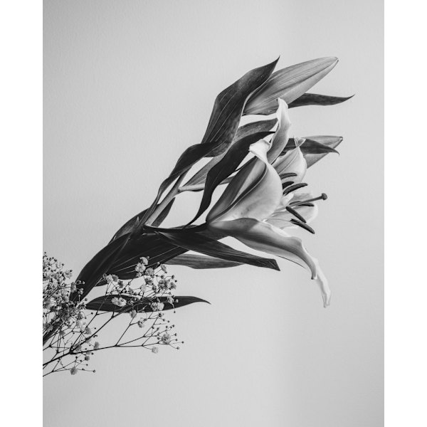 A Beautiful Flower MultiColor 70x100 cm