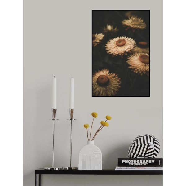 Faded Flowers MultiColor 70x100 cm