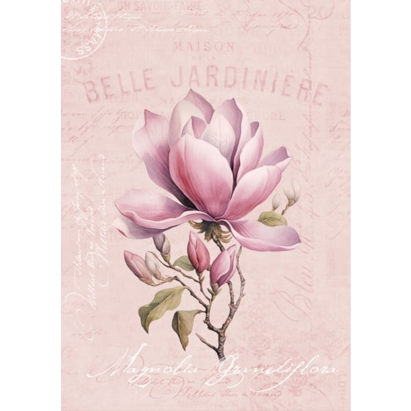 Magnolia Pink No2 MultiColor 50x70 cm