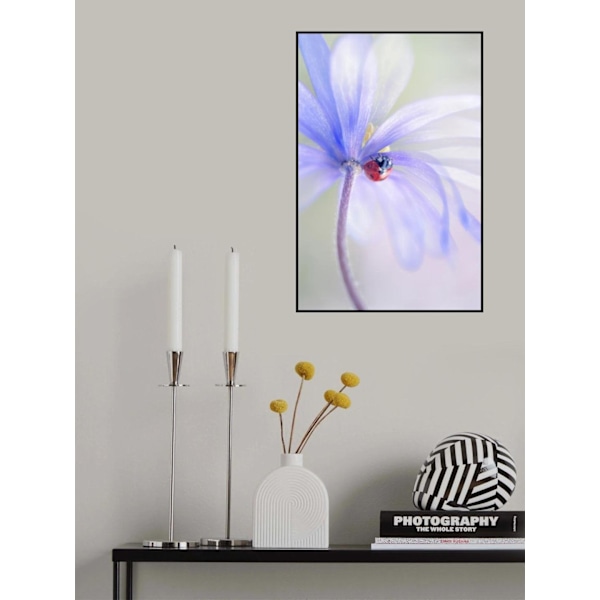 Spring Lady MultiColor 30x40 cm