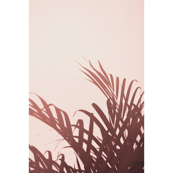 Palm Leaves_2 MultiColor 21x30 cm