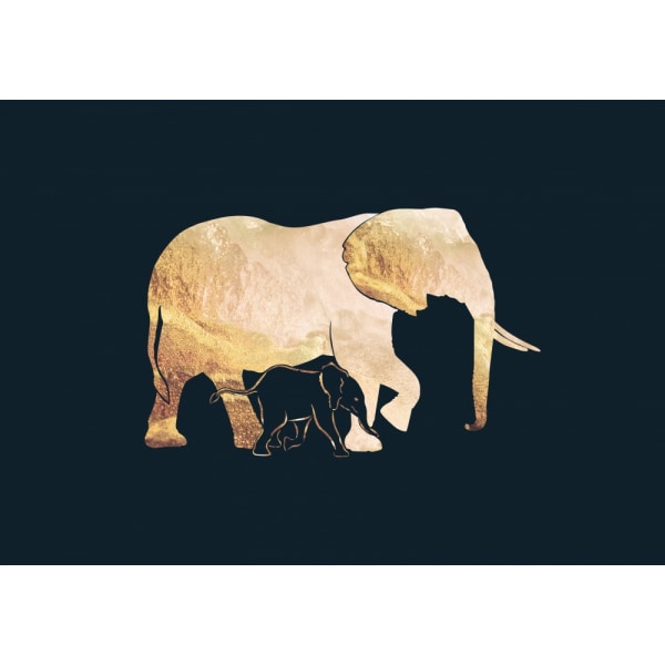 Black Gold Elephants 2 MultiColor 50x70 cm