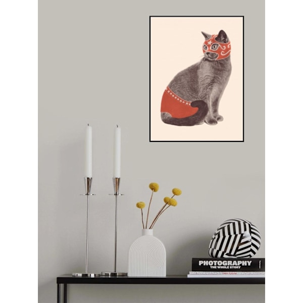 Chat Catcheur MultiColor 50x70 cm