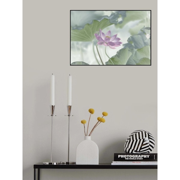 Lotus MultiColor 70x100 cm