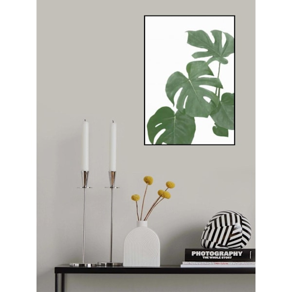 Monstera Aqua 03 MultiColor 21x30 cm