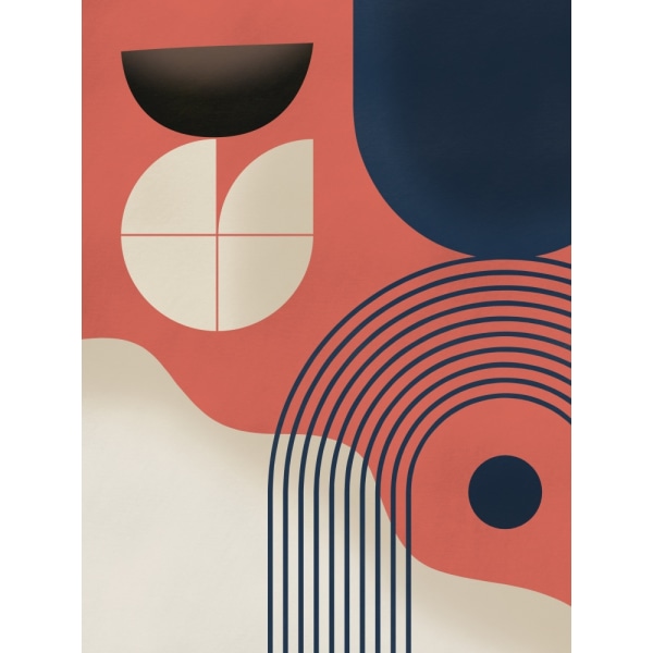 Mid Century -maalaus MultiColor 50x70 cm