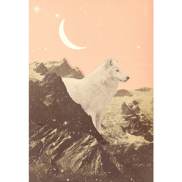 Giant White Wolf In Mountains MultiColor 50x70 cm