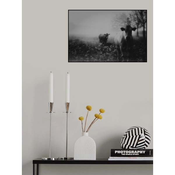 Foggy Memory Of The Past MultiColor 70x100 cm