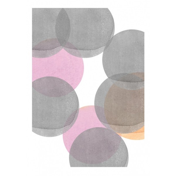 Gray Pink Circles Ii MultiColor 30x40 cm